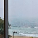 UR(삼척시)-[강원남부로]-하-673 | [삼척/태백] 가족끼리 1박 2일 삼척 여행 추천! (와우펜션, 중앙시장, 환선굴, 미인폭포 등)