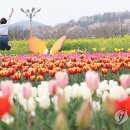 낙동강변 축구장 2 이미지