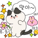 BG독케어센터 네이버블로그