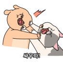 퍼피랜드애견카페 이미지