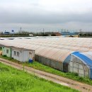 황구지길 이미지