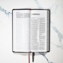 MBTI를 활용한 자기 이해와 인간 이해 이미지