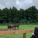 서우목장 이미지