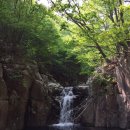 (주)카옥션 이미지