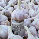 의성중부농협 신평지점 이미지