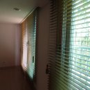 제일우드 이미지