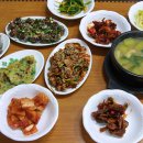 돌산한우