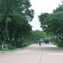 어진중학교 | 종로 가볼만한곳 경희궁 산책하기 좋은 곳 주차장 입장료