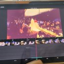 냥뉴