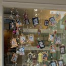 펫트리멍 이미지