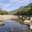 녹색연합 제24회 녹색순례 : 설악은 포기하지 않는다 | 240429 6일차 &lt;숲을 듣는 날&gt;