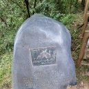 뉴코아백화점 이미지