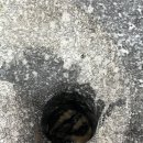 미로정원마을 이미지