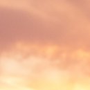 남양한방병원 이미지