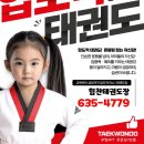 바람소리 해솔 태권도 네이버블로그