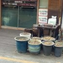 해밀칼국수 - 세종특별자치시 | 해밀칼국수