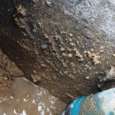 (주)에이스인스트루먼트 이미지