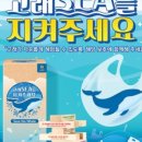 (주)창의와 날개
