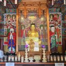 가람건설(주) | 황홀했던 겹벚꽃 명소 사천 청룡사 겹벚꽃 만개 시기 주차정보 주말 다녀온 생생후기