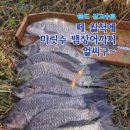 장고섬 이미지