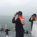 몽산포레져