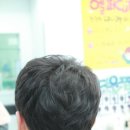 헤어닥 이미지