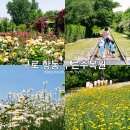 서울 주말 나들이 구로 항동 철길 푸른수목원 주차장 공사중