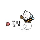 소녹 이미지