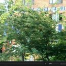 한호체육관 이미지