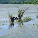 죽동체육공원 이미지