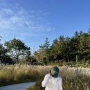 오곡 오지 이미지