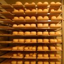 가나안목장 이미지