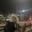더블유에이에이치 이미지