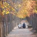 경주 산림환경연구원 개방 이미지