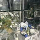 풍산농장 | 내돈내산 셀프부케 경북 안동 꽃집[풍산꽃농원]