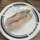 1279 | 인천연수동맛집 미카도스시 동춘점 가성비 회전초밥 솔직후기