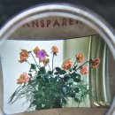 The ANONYMOUS Project _ the moments are paused