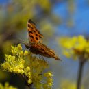 수안보관광안내소 | 수안보 온천과 이중환의 『택리지』, 여행 문학의 원형