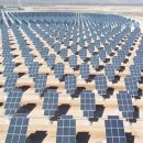 세아태양광발전소 이미지