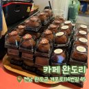 완도약국 | [내돈내산] 카페 완도리 | 완도 여행 코스 | 완도 카페 추천 | 귀여움 한도 초과