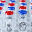 보란파마 이미지