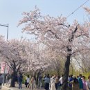 김밥먹는백설공주 이미지