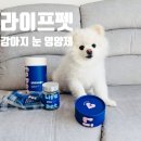 펫라이프 | 강아지 눈 영양제 추천? 라이프펫 아이즈 솔직 사용 후기