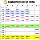 KS메디 Daum카페