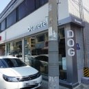 디케어텔 | 대구 애견호텔, 수성구 애견호텔, 디케어텔 방문 후기