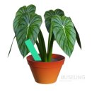 부승농장 이미지