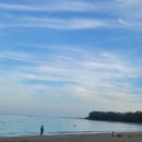 CHA CHA TEA CLUB | 태국의 찻집은 어떨까? in 푸켓