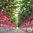 홍이농장 이미지