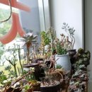 정원옷수선 - 수원시 장안구 덕영대로417번길 26 | 정원옷수선