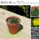 원하농장 이미지